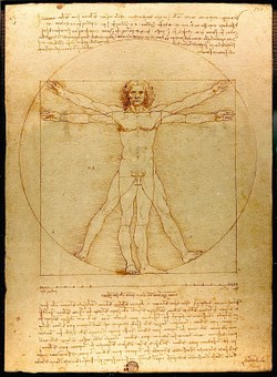 Leonardo da Vinci – der Mensch – pixabay